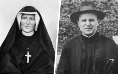 Kult Najświętszego Serca Pana Jezusa i Miłosierdzia Bożego według „Dzienniczka” św. Faustyny Kowalskiej ZMBM